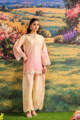Apricot