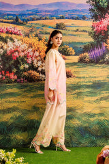Apricot