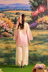 Apricot